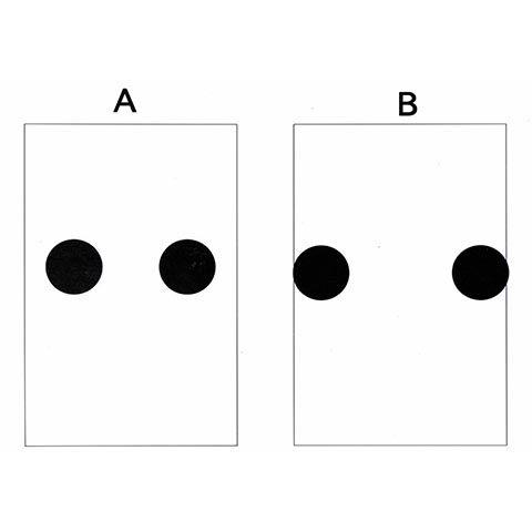 チークの位置によって、印象が変わる説明図